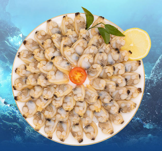 春節送禮就送仟貝福雜色蛤 春節送禮就送仟貝福雜色蛤